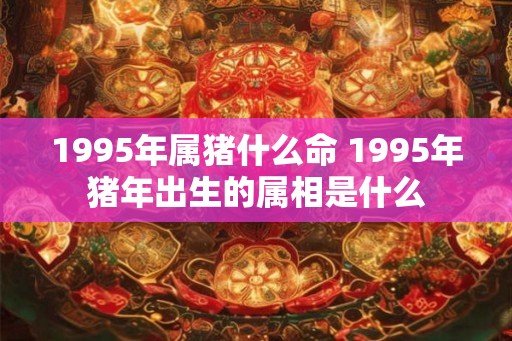 1995年属猪什么命 1995年猪年出生的属相是什么