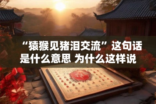 “猿猴见猪泪交流”这句话是什么意思 为什么这样说