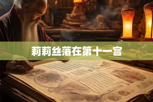 莉莉丝落在第十一宫