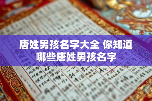 唐姓男孩名字大全 你知道哪些唐姓男孩名字 唐姓男孩名字大全 你知道哪些唐姓男孩名字