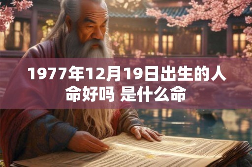 1977年12月19日出生的人命好吗 是什么命