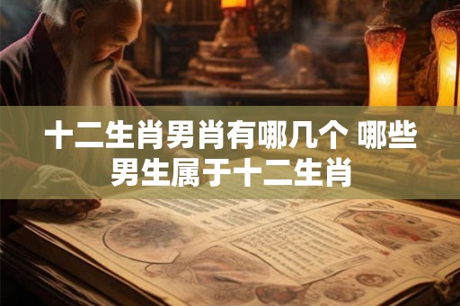 十二生肖男肖有哪几个 哪些男生属于十二生肖