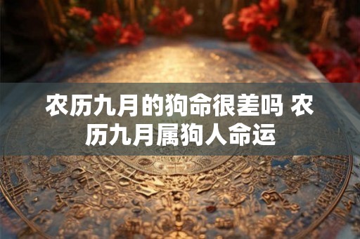 农历九月的狗命很差吗 农历九月属狗人命运 农历九月的狗命很差吗 农历九月属狗人命运