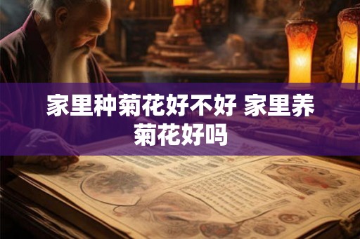 家里种菊花好不好 家里养菊花好吗