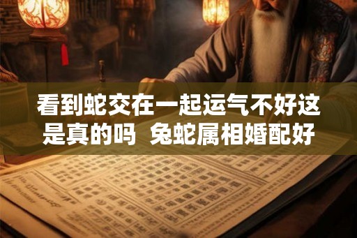 看到蛇交在一起运气不好这是真的吗  兔蛇属相婚配好不好