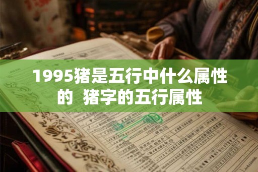 1995猪是五行中什么属性的  猪字的五行属性