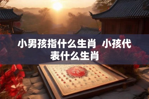 小男孩指什么生肖  小孩代表什么生肖