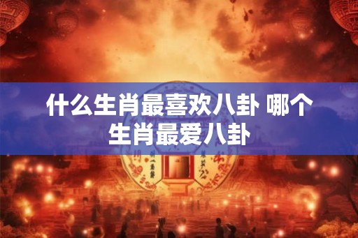 什么生肖最喜欢八卦 哪个生肖最爱八卦