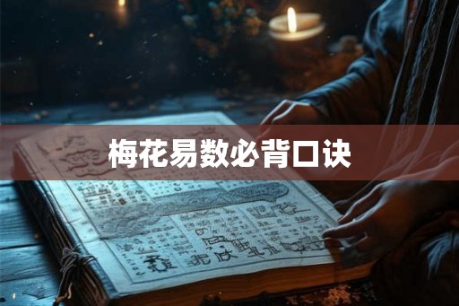 梅花易数必背口诀