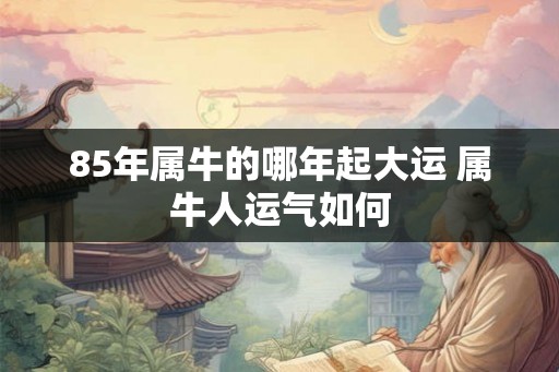 85年属牛的哪年起大运 属牛人运气如何