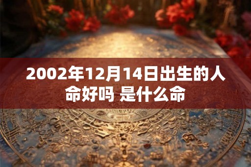 2002年12月14日出生的人命好吗 是什么命