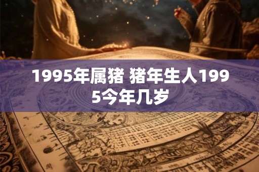 1995年属猪 猪年生人1995今年几岁