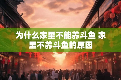 为什么家里不能养斗鱼 家里不养斗鱼的原因 为什么家里不能养斗鱼 家里不养斗鱼的原因