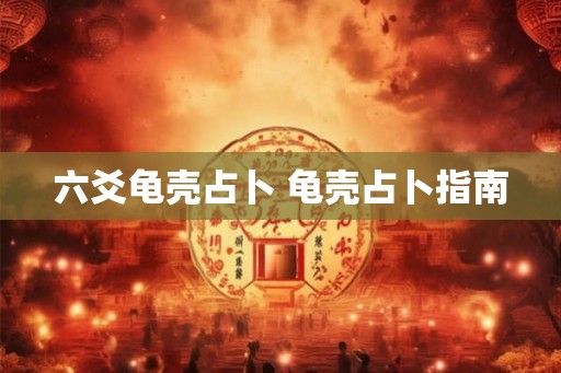 六爻龟壳占卜 龟壳占卜指南