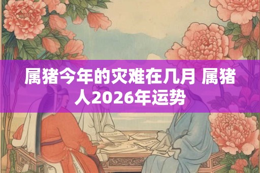 属猪今年的灾难在几月 属猪人2026年运势