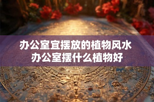 办公室宜摆放的植物风水 办公室摆什么植物好 办公室宜摆放的植物风水 办公室摆什么植物好