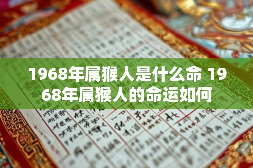 1968年属猴人是什么命 1968年属猴人的命运如何 1968年属猴人是什么命 1968年属猴人的命运如何