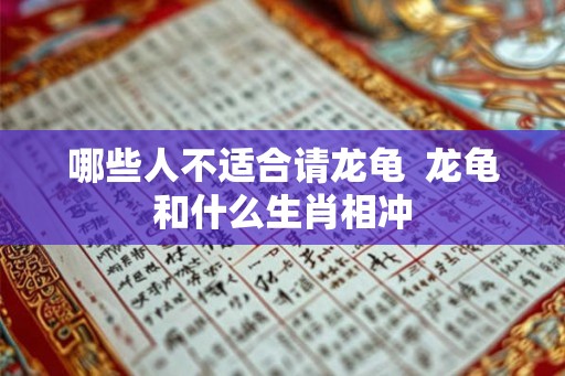 哪些人不适合请龙龟  龙龟和什么生肖相冲