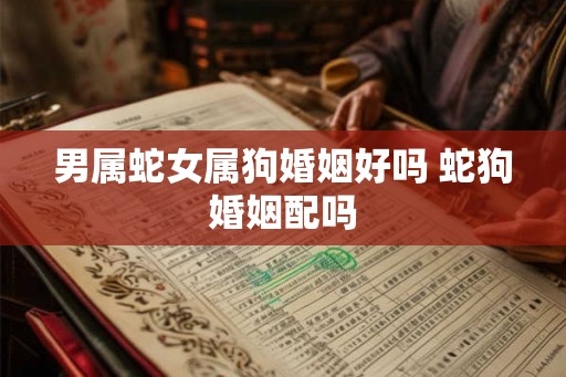 男属蛇女属狗婚姻好吗 蛇狗婚姻配吗