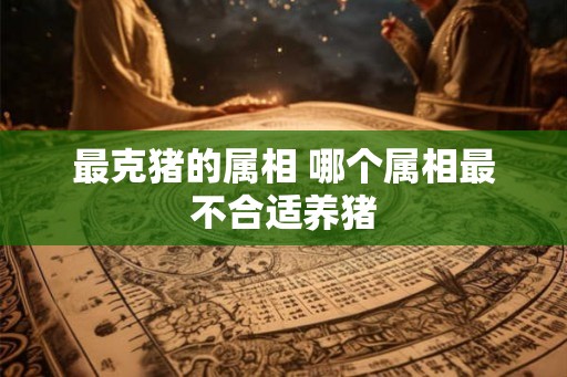 最克猪的属相 哪个属相最不合适养猪 最克猪的属相 哪个属相最不合适养猪