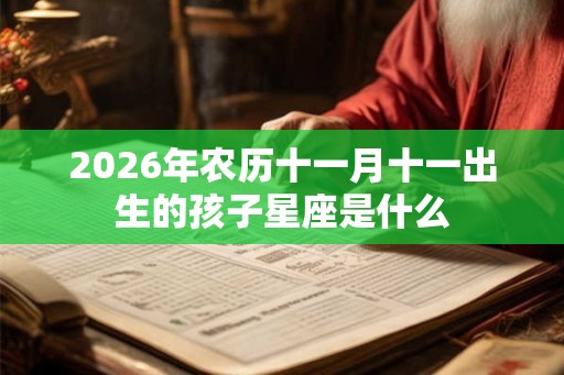2026年农历十一月十一出生的孩子星座是什么