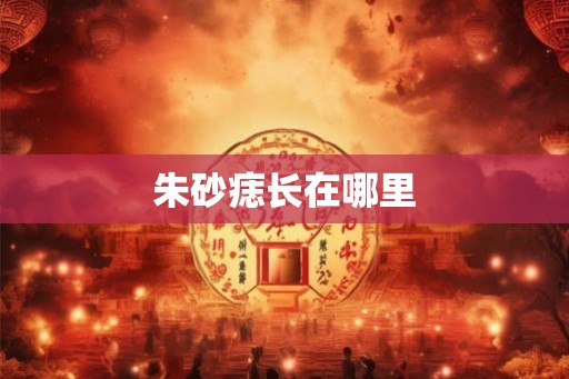 朱砂痣长在哪里