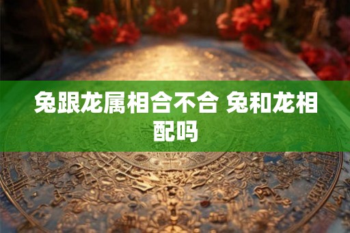 兔跟龙属相合不合 兔和龙相配吗