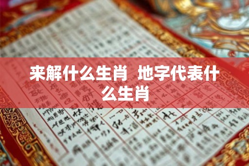 来解什么生肖  地字代表什么生肖