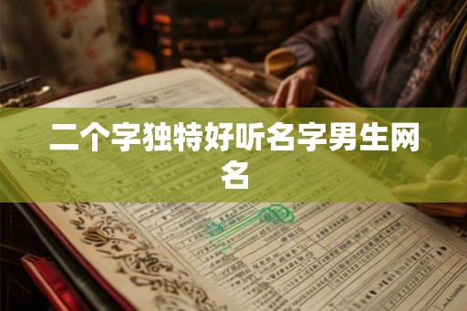 二个字独特好听名字男生网名