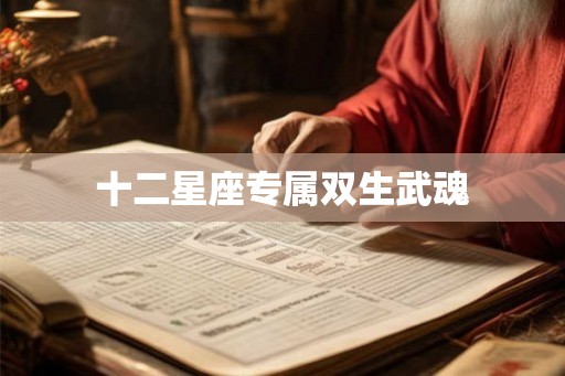 十二星座专属双生武魂