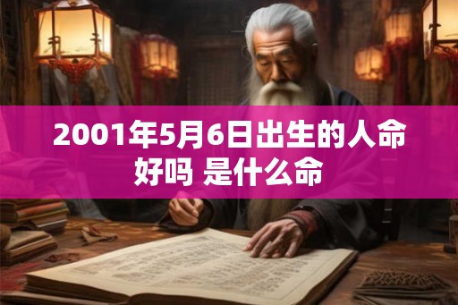 2001年5月6日出生的人命好吗 是什么命