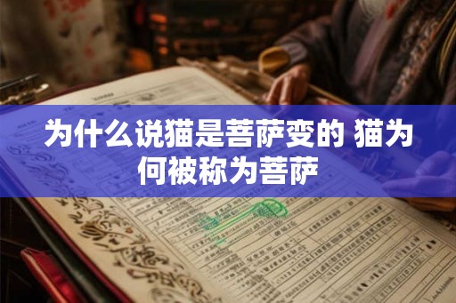 为什么说猫是菩萨变的 猫为何被称为菩萨 为什么说猫是菩萨变的 猫为何被称为菩萨