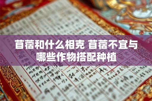 苜蓿和什么相克 苜蓿不宜与哪些作物搭配种植