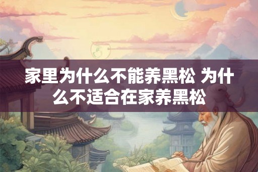家里为什么不能养黑松 为什么不适合在家养黑松