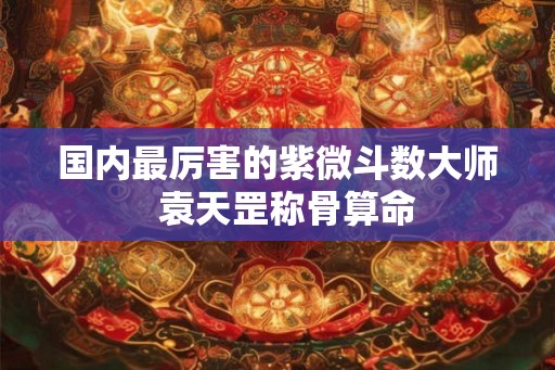 国内最厉害的紫微斗数大师  袁天罡称骨算命