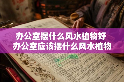 办公室摆什么风水植物好 办公室应该摆什么风水植物