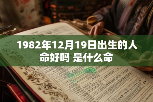 1982年12月19日出生的人命好吗 是什么命