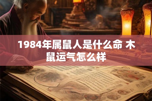 1984年属鼠人是什么命 木鼠运气怎么样 1984年属鼠人是什么命 木鼠运气怎么样
