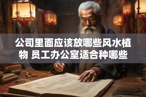 公司里面应该放哪些风水植物 员工办公室适合种哪些风水植物