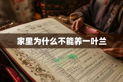 家里为什么不能养一叶兰