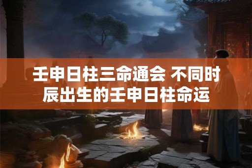 壬申日柱三命通会 不同时辰出生的壬申日柱命运