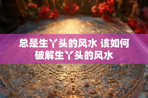 总是生丫头的风水 该如何破解生丫头的风水