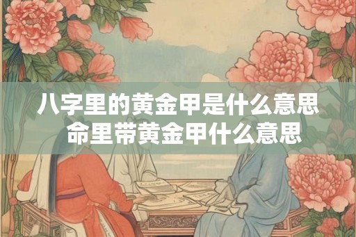 八字里的黄金甲是什么意思  命里带黄金甲什么意思
