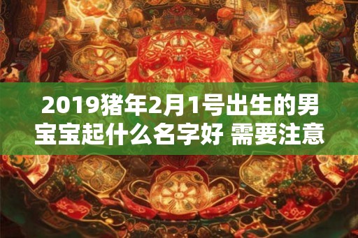 2019猪年2月1号出生的男宝宝起什么名字好 需要注意什么