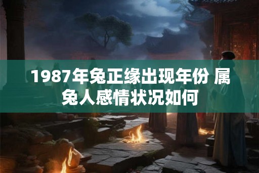 1987年兔正缘出现年份 属兔人感情状况如何