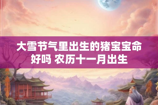 大雪节气里出生的猪宝宝命好吗 农历十一月出生