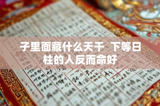 子里面藏什么天干  下等日柱的人反而命好