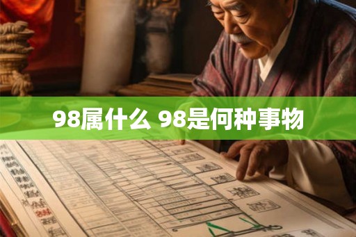 98属什么 98是何种事物