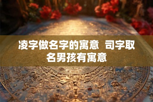 凌字做名字的寓意  司字取名男孩有寓意