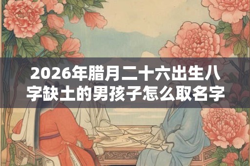 2026年腊月二十六出生八字缺土的男孩子怎么取名字